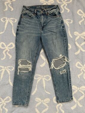American Eagle Strigid Ripped Mom High-Rise Jeans (2 X-Short)